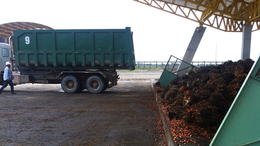 PLANTAS INDUSTRIALES