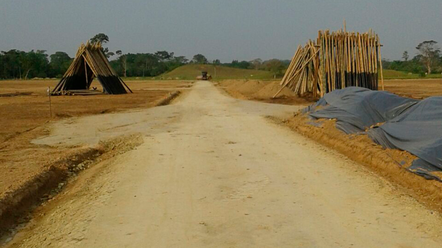 Preparación de terreno para viveros