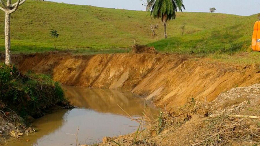 Preparación de terreno para viveros