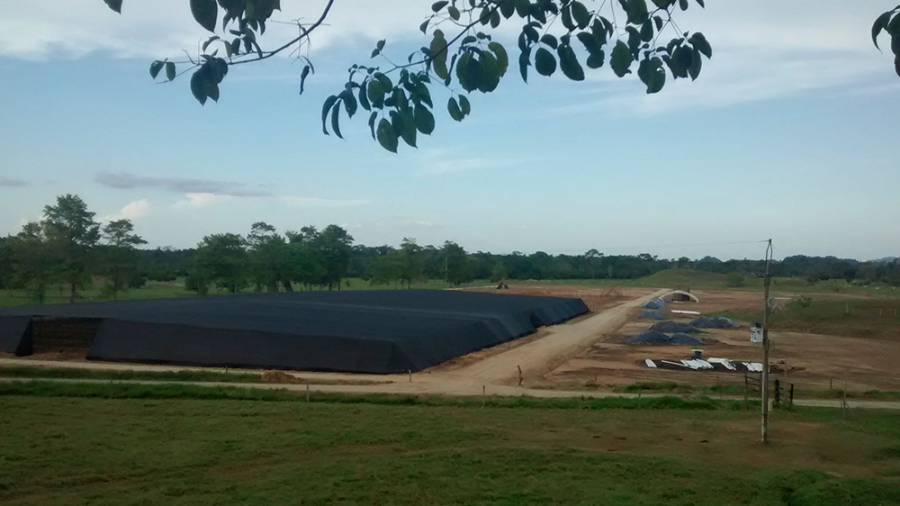 Preparación de terreno para viveros